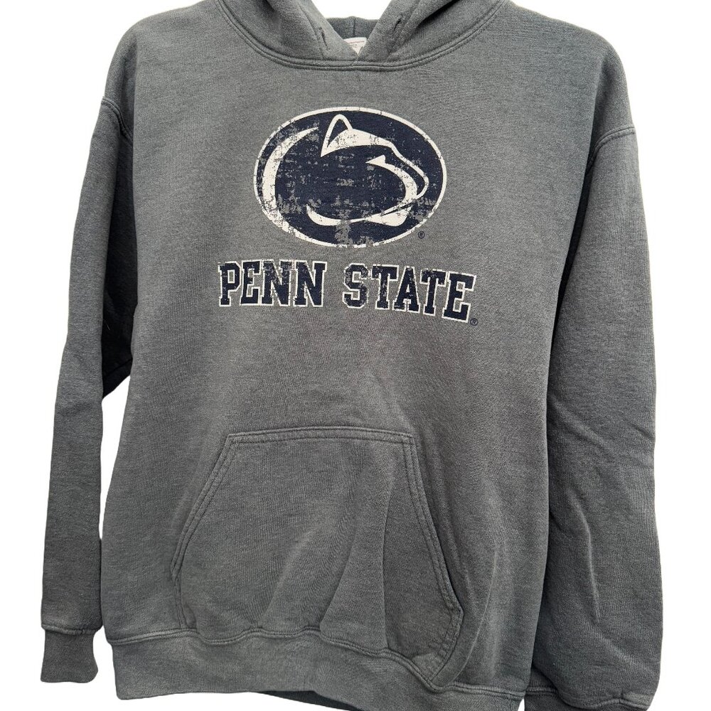 PSU Penn State University Nittany Lions Gildan Hoodie, Small